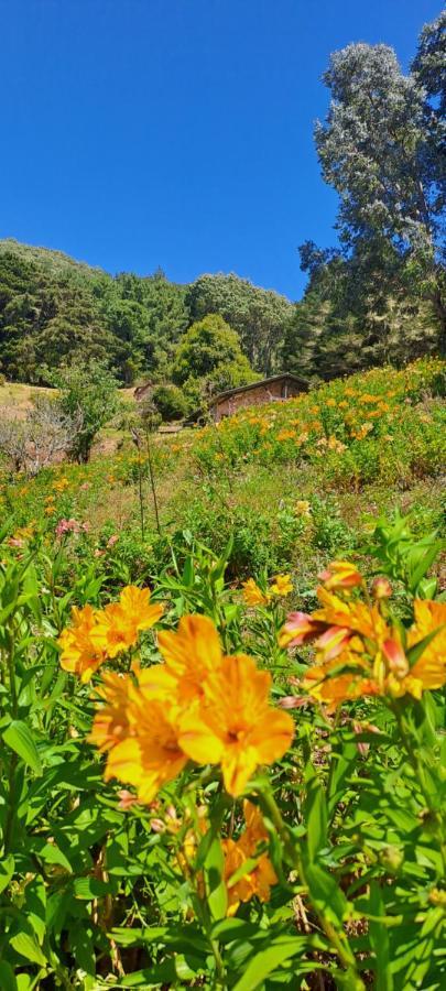 El Pital Ecolodge San Ignacio Екстер'єр фото