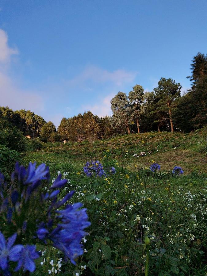 El Pital Ecolodge San Ignacio Екстер'єр фото