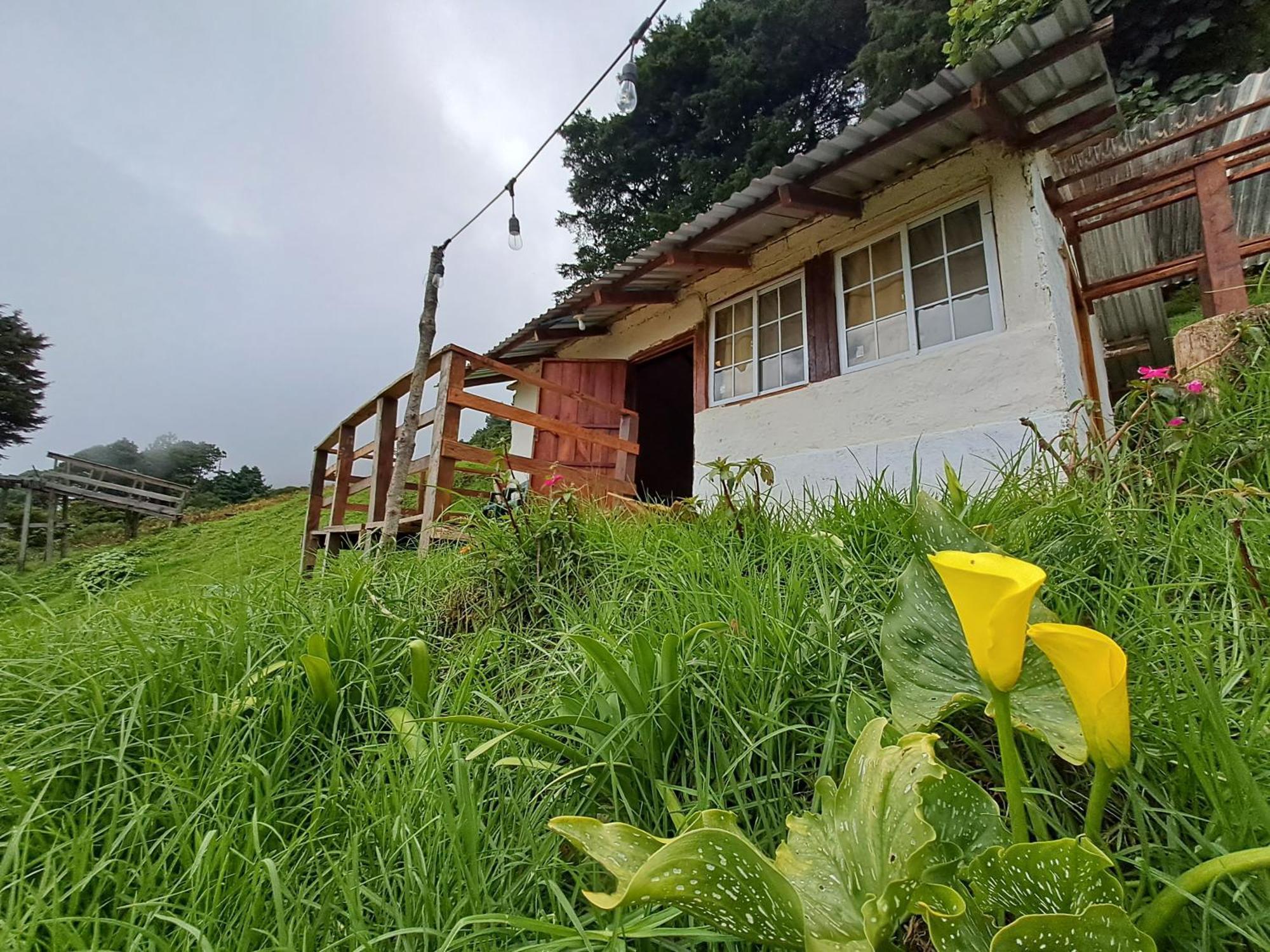 El Pital Ecolodge San Ignacio Екстер'єр фото